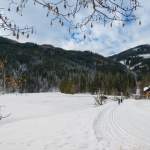 Langläufer beim Gasthof Jägersee im Winter