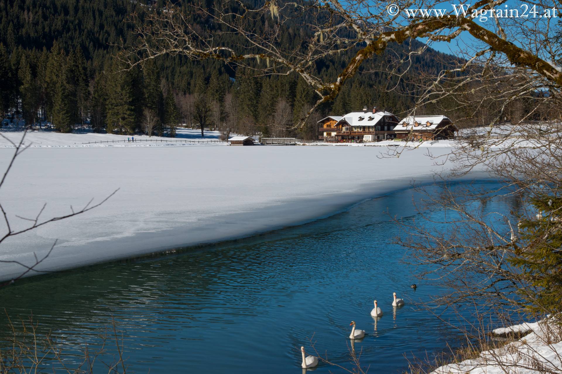 Blick über den Jägersee mit Schwänen im Winter Kleinarl
