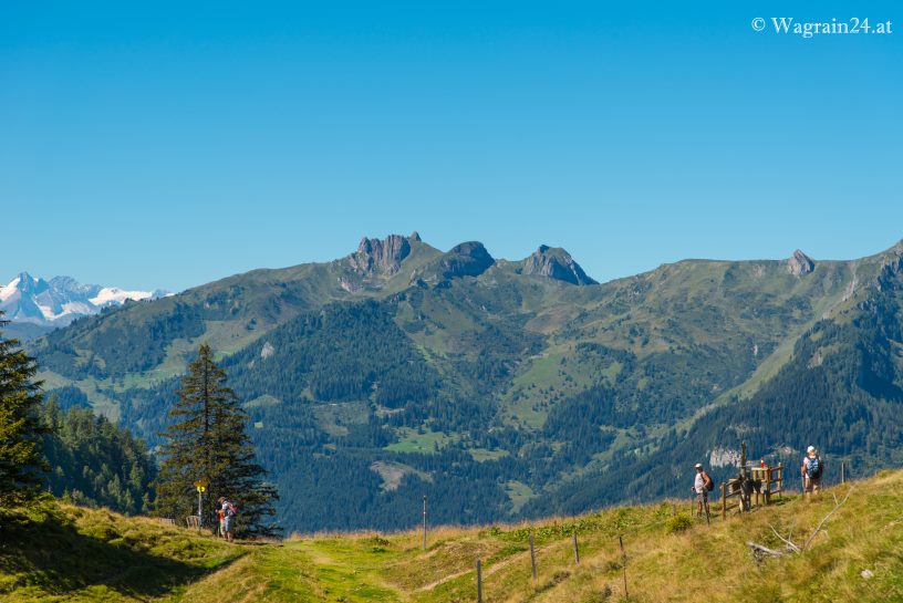 Panoramawanderung vom Grafenberg zur Maurach-Alm