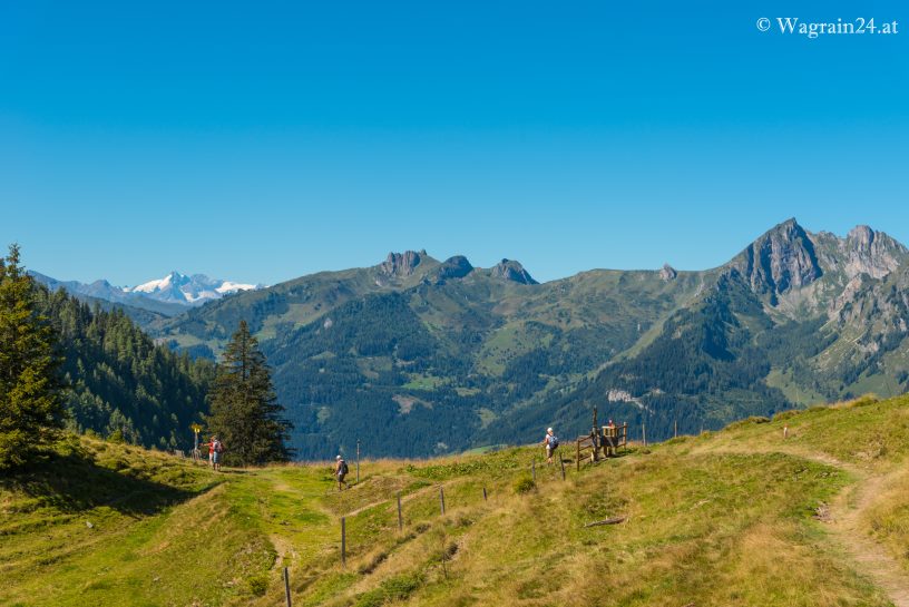 Panoramawanderung vom Grafenberg zur Maurach-Alm im Großarltal